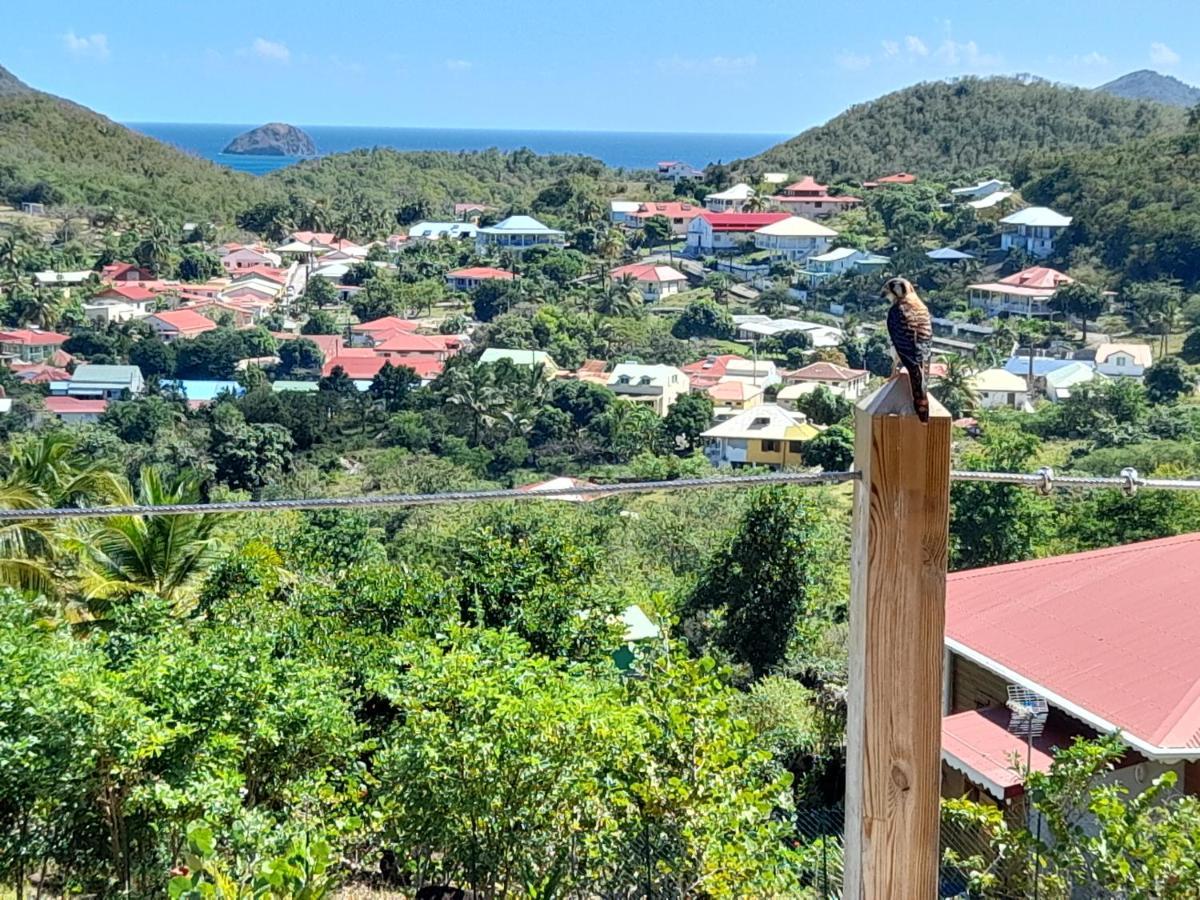 Ti Kaz Anoli Vue Epoustouflante Sur La Baie Villa Terre-de-Bas Exteriör bild