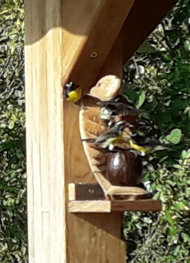Ti Kaz Anoli Vue Epoustouflante Sur La Baie Villa Terre-de-Bas Exteriör bild